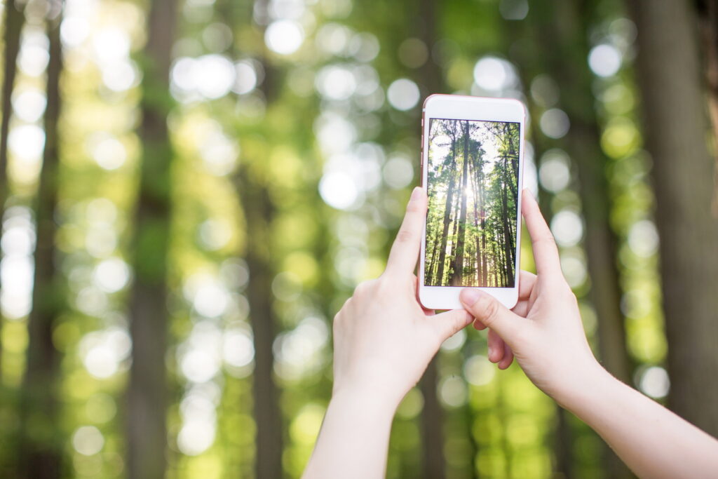 Photo - Smartphone - Bouygues Telecom